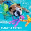 Fetch and Meow Product Image Thumbnail